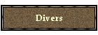 Divers