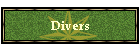 Divers